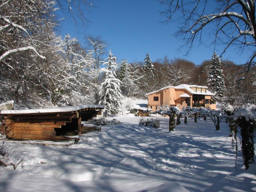 Pyrenees Emotions, Eco-Responsables, Nature, Sports Aventures Malvézie Exterior foto